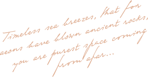 floating_image_02 https://seymadphotographie.com/wp-content/uploads/2020/10/floating_image_02.png