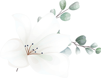 floating_image_16 https://seymadphotographie.com/wp-content/uploads/2020/12/floating_image_16.png